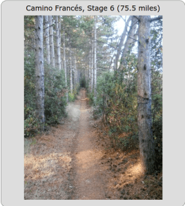 I can't wait to actually see this in person!!